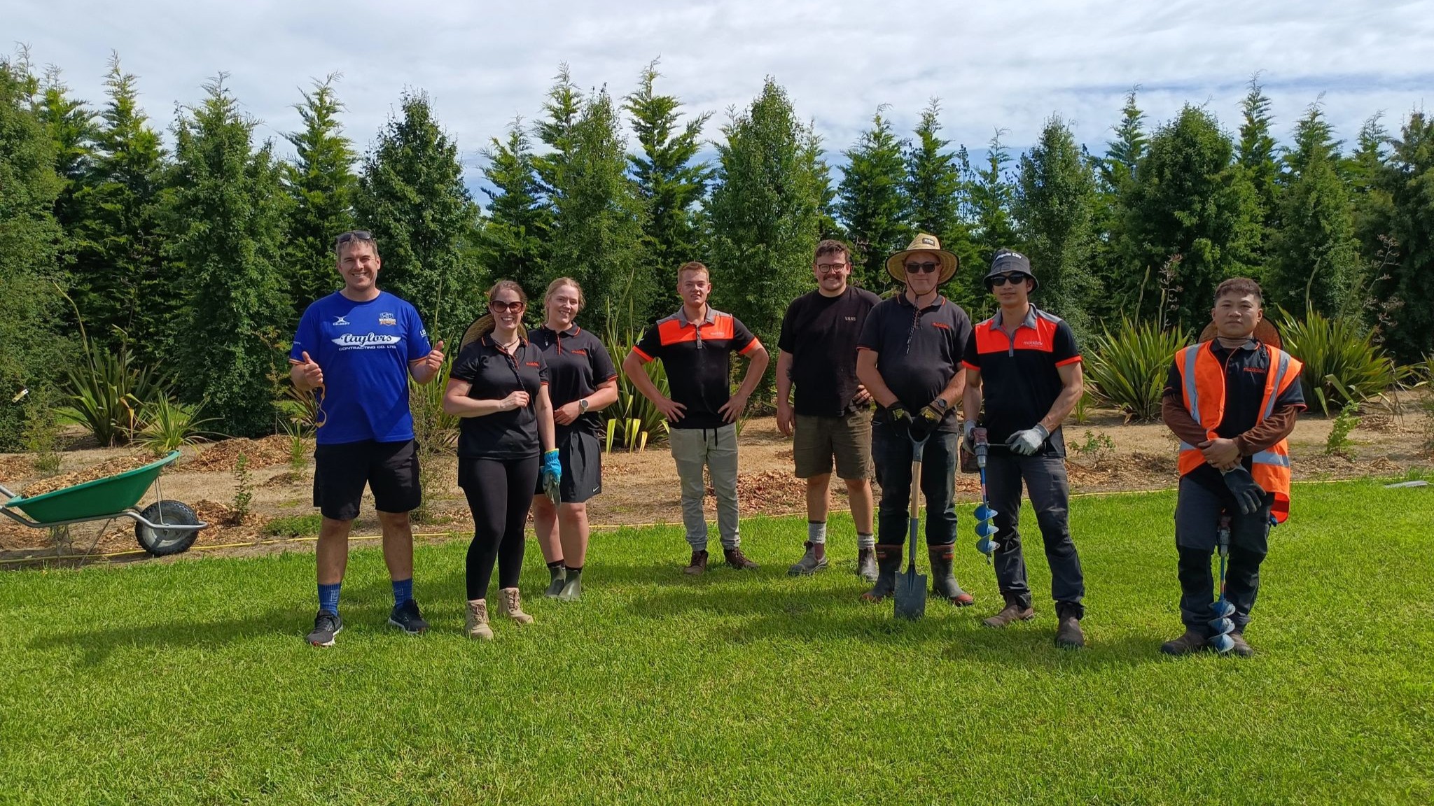 How Moddex New Zealand is supporting the environment through native reforestation